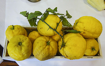 dettaglio decorazione